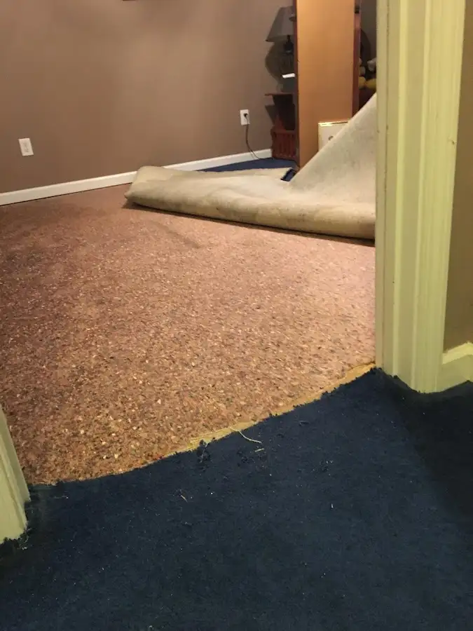 Carpet pad removal revealing water damage during Drying & Dehumidification in Price