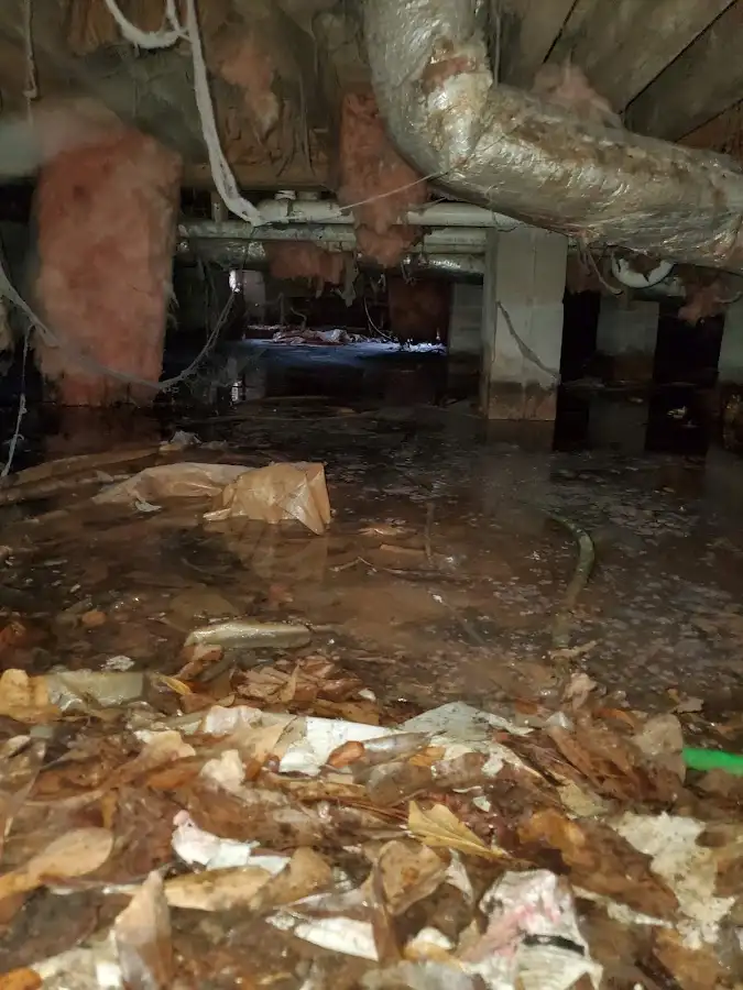 Crawl space flood assessment for Leak Detection & Repair in Price