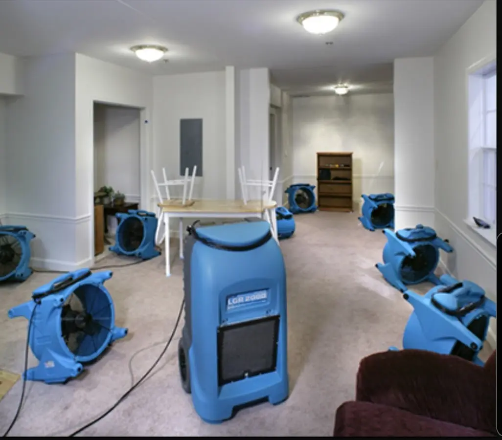 Air movers and dehumidifier setup for Water Extraction & Removal in Price